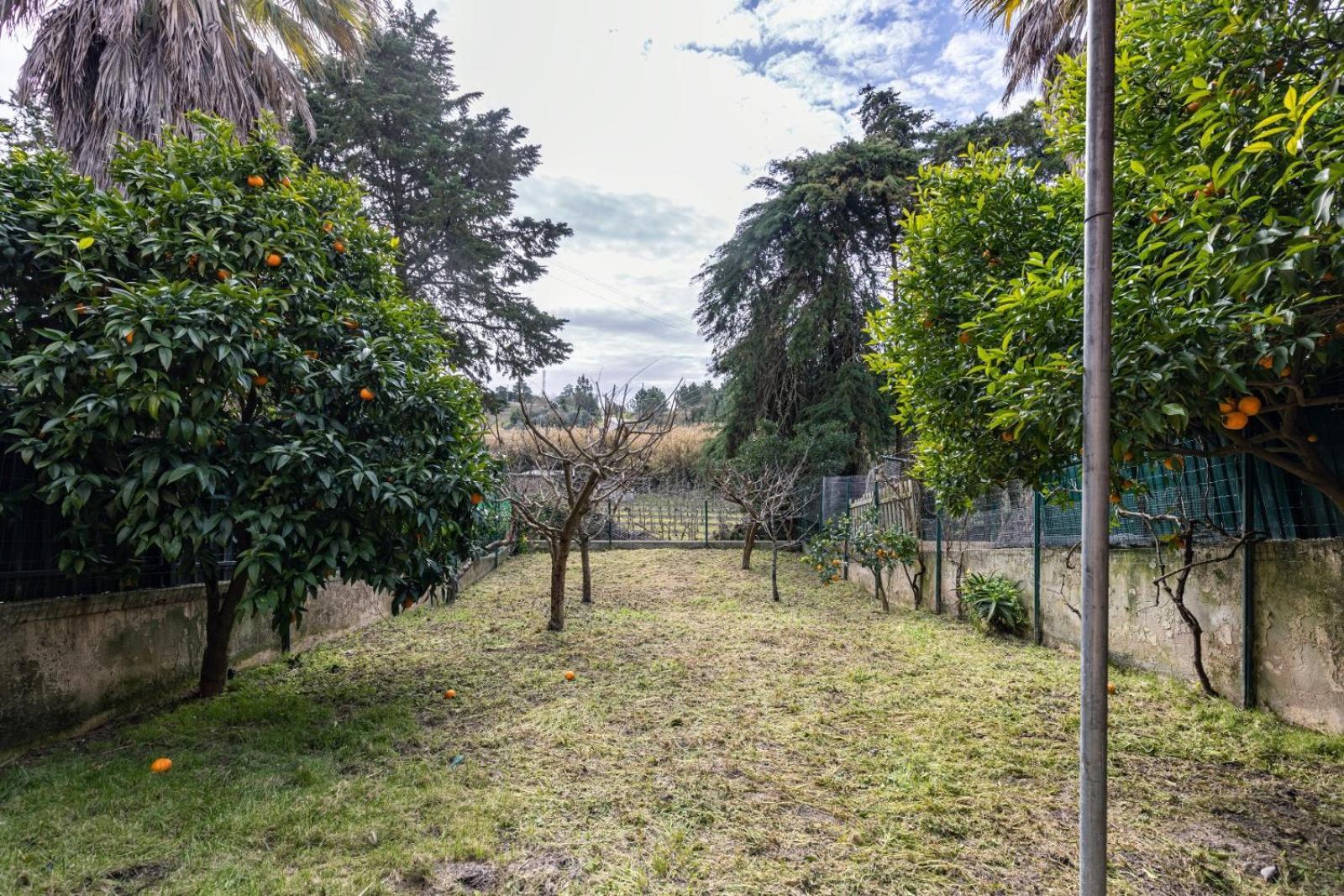 奥比多斯Hidden Garden Near The Castle别墅 外观 照片